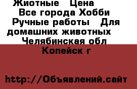 Жиотные › Цена ­ 50 - Все города Хобби. Ручные работы » Для домашних животных   . Челябинская обл.,Копейск г.